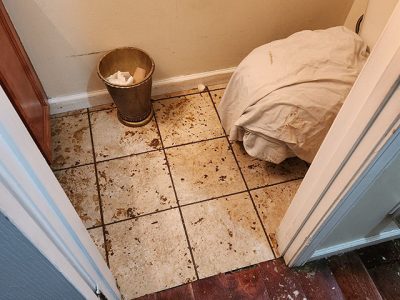 Home Damage Cleanup Restoration