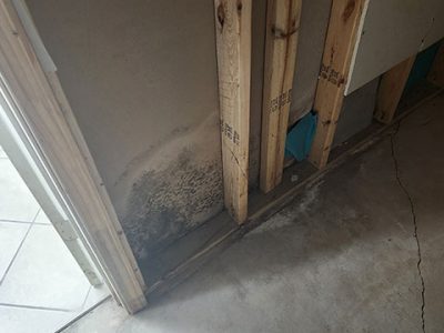 Mold Cleanup Restoration